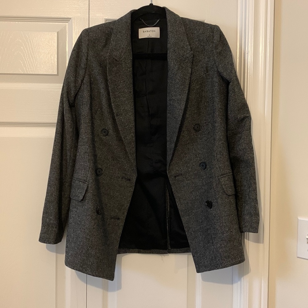 Babaton Samuel Blazer in size 2